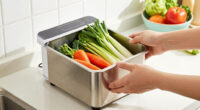 Is the Vegetable and Fruit Cleaner Machine with Worth It? Honest Take + Alternatives