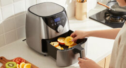 10 Best Air Fryers With Dehydrating Function in 2026