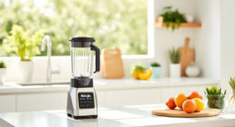 Beat the Heat with the Ninja Blast Portable Blender This Summer