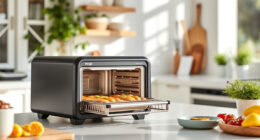 Keep Your Ninja Foodi XL Pro Air Oven Summer-Ready: Care & Troubleshooting Tips