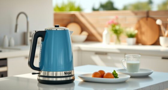 Ninja KT200BL Precision Temp Kettle: Perfect for Summer Tea & Coffee