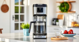 Summer Refresh: Essential Accessories for Your Ninja Hot & Iced XL Coffee Maker