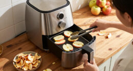 5 Best Air Fryer Dehydrators in 2027